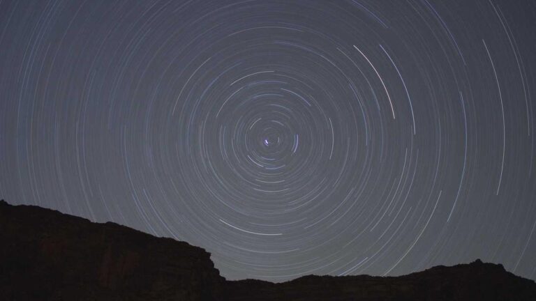 How Do Users Reach The 99Exch Support Line Quickly?